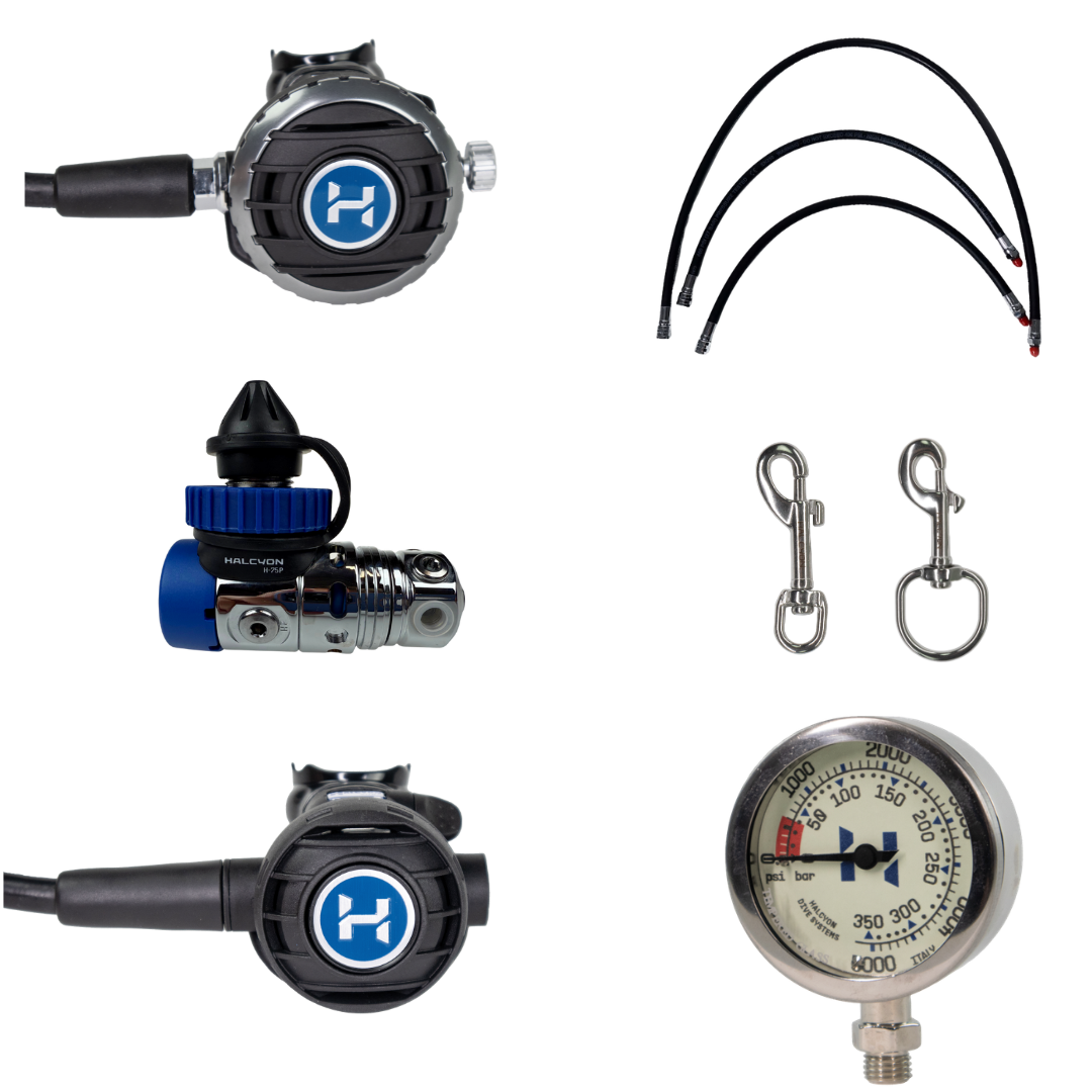 Singles Regulator Package - H-75P (Piston)