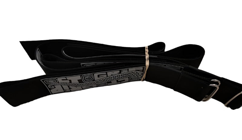 Mounting Straps