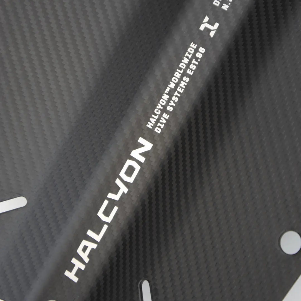 Carbon Fiber Backplate