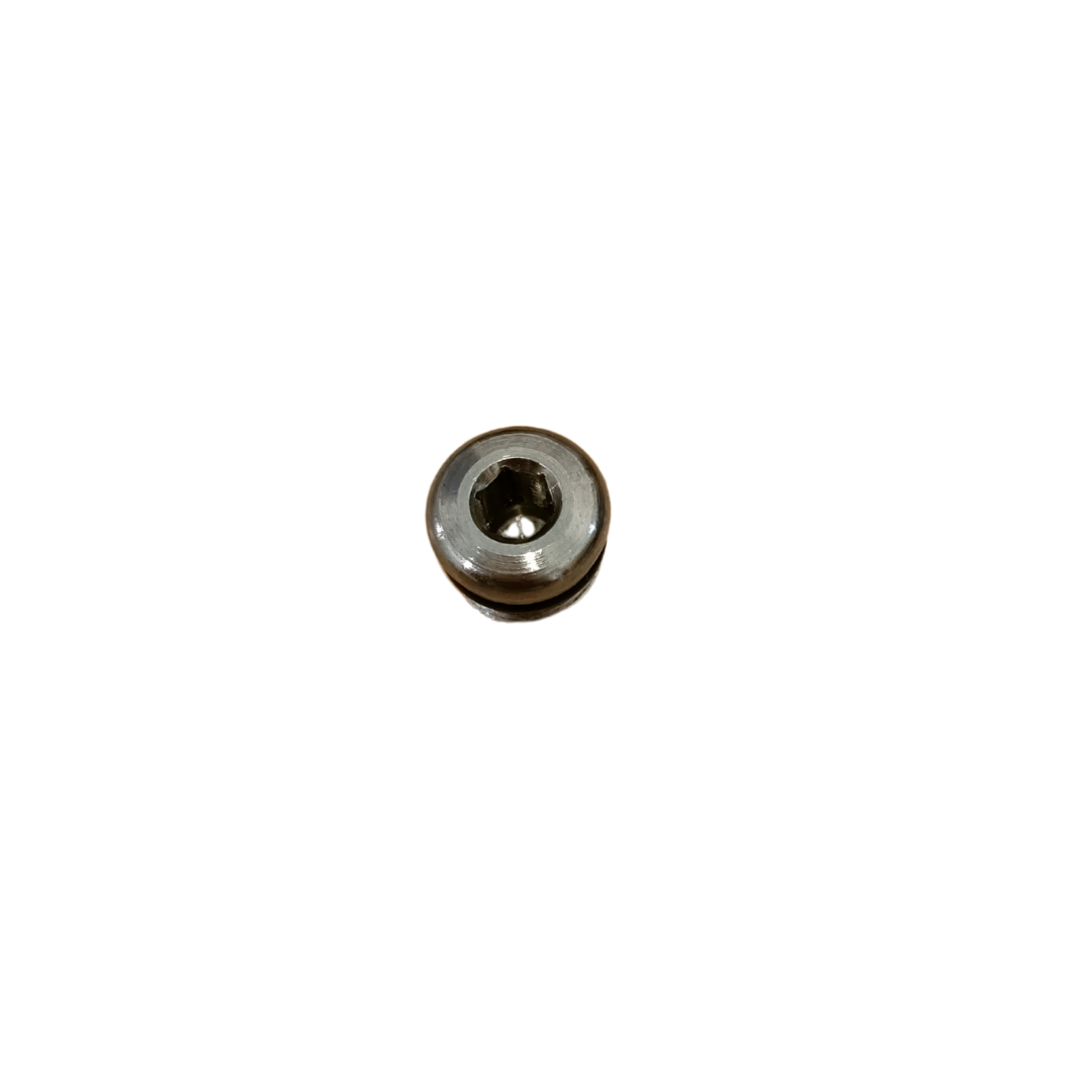 Low-Pressure Port Plug