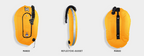 Custom Eclipse Wing (Readily Available)